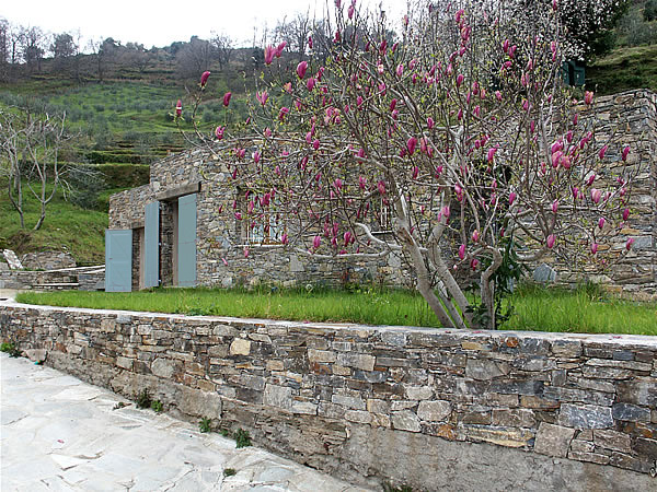 Alma Studio